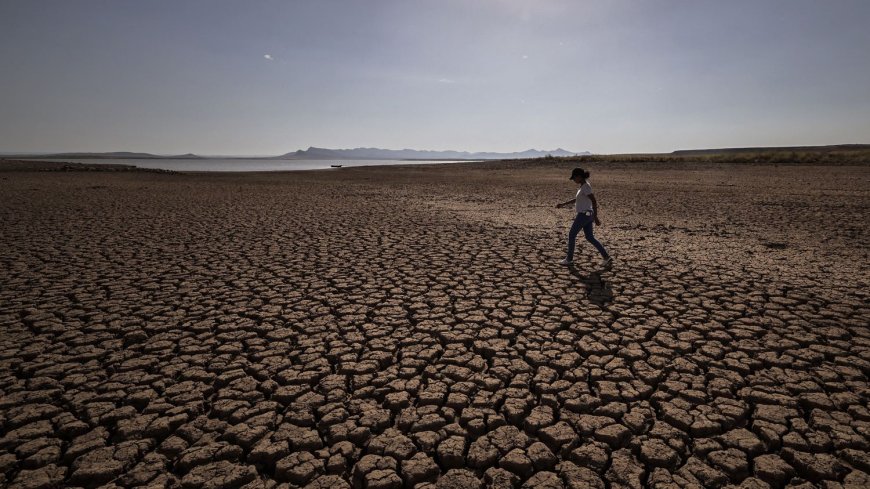 Maroc : La Sécheresse Dévoile le Paradoxe de l’Agriculture Maghrébine