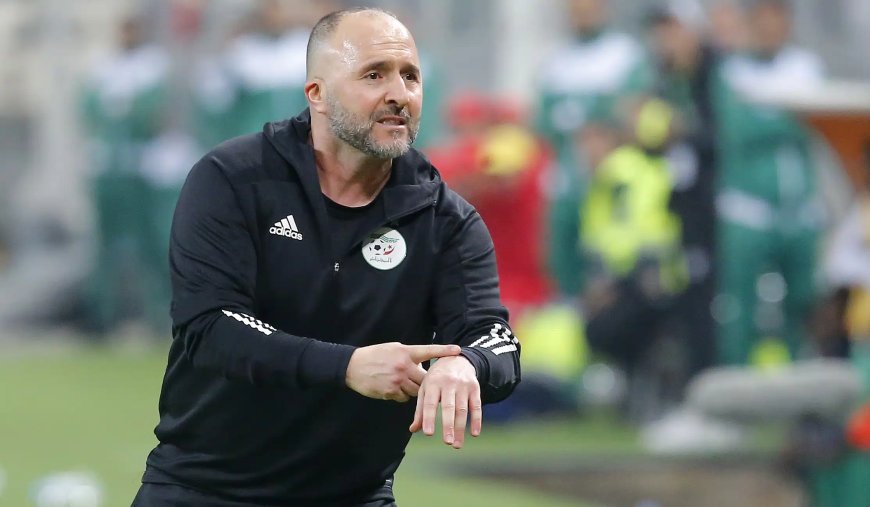 Djamel Belmadi et l’Équipe d’Algérie : Les Prémices d’une Aventure Africaine