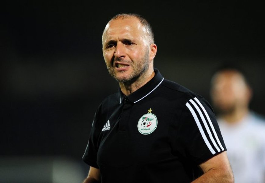 CAN 2023 : L’Arme Fatale de Djamel Belmadi Qui Secoue l’Afrique