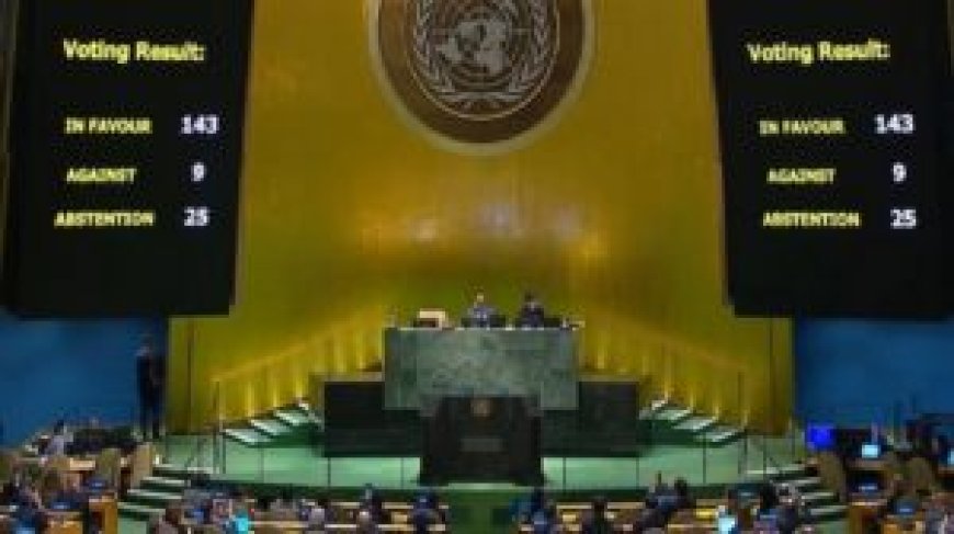 L’Assemblée générale de l’ONU soutient la demande d’adhésion de la Palestine