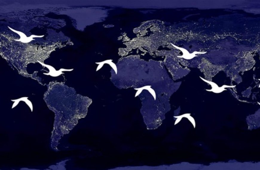 Journée des oiseaux migrateurs : Riche programme de la DGF