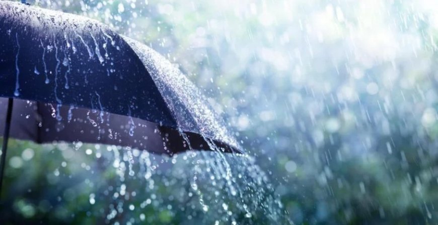 Météo en Algérie : Pluies Imminentes dans Plusieurs Wilayas le 4 Décembre