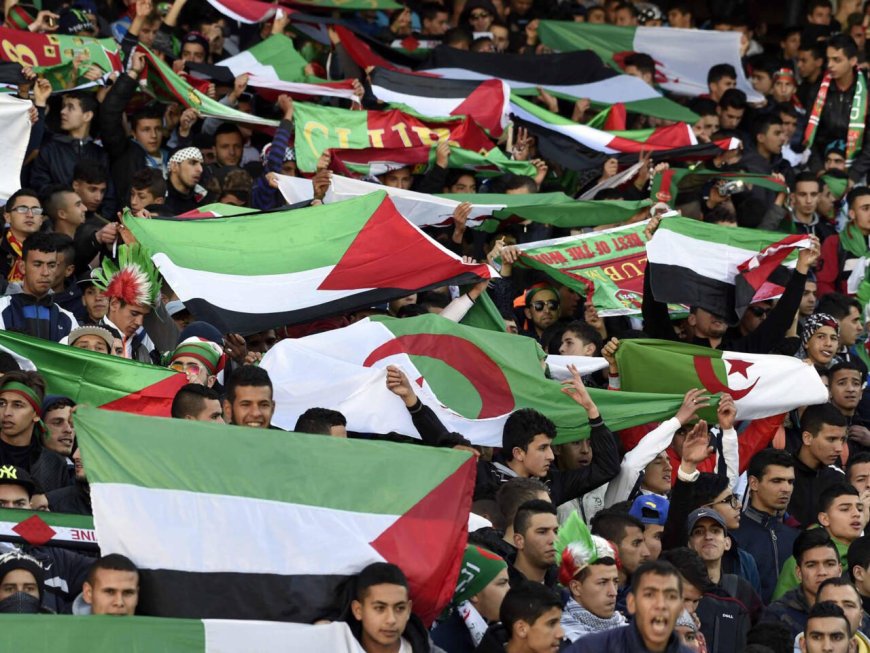 La Palestine Choisit l’Algérie pour son Stage Avant la Coupe d’Asie