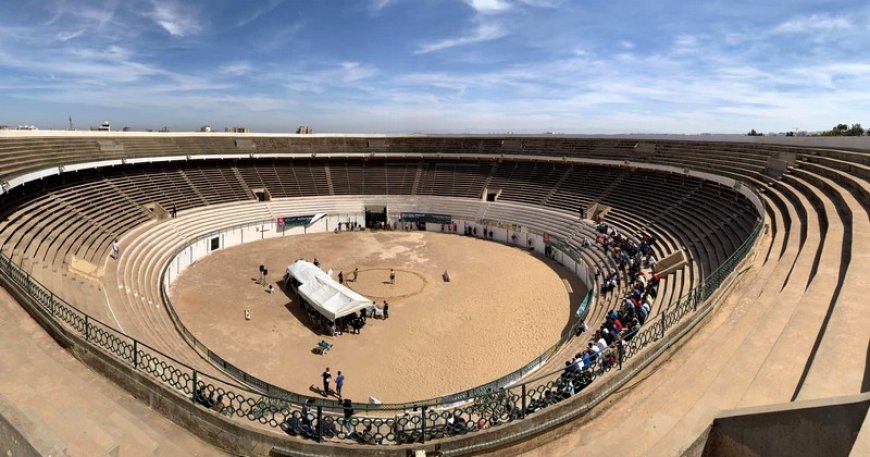 Nette domination des athlètes d’Alger et d’Oran