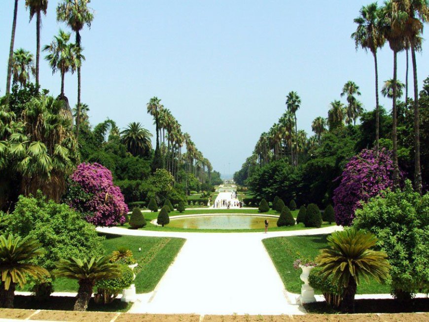 Aromed 2023 au Jardin Botanique du Hamma : L’Algérie à la Conquête des Plantes Médicinales et Aromatiques