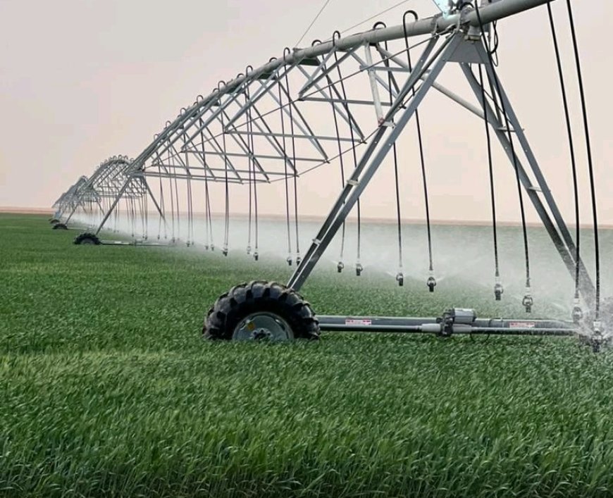 Production du premier pivot d’irrigation développé en Algérie en mai