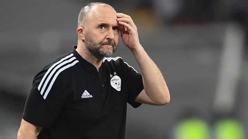 CAN 2023 : Djamel Belmadi, le Sélectionneur le Mieux Payé de la Compétition