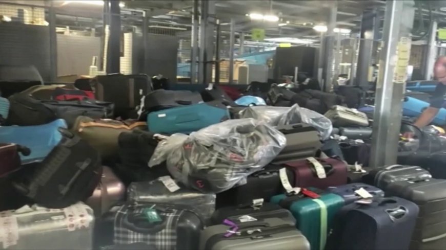 L’Aéroport d’Alger s’Attaque aux Retards de Bagages : L’Arrivée de Deux Nouveaux Acteurs en Vue