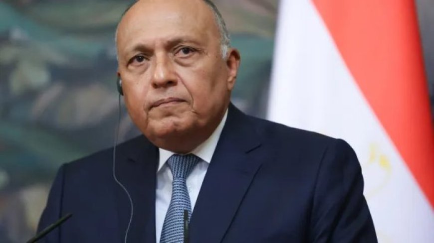 L’Egypte se joint à l’Afrique du sud dans sa plainte auprès de la CIJ contre Israël