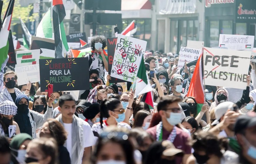 Censure des Films sur la Palestine : La Solidarité s’Organise à Montréal