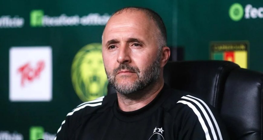 Problèmes de Riche pour Belmadi : Chaibi Analyse les Enjeux à Venir