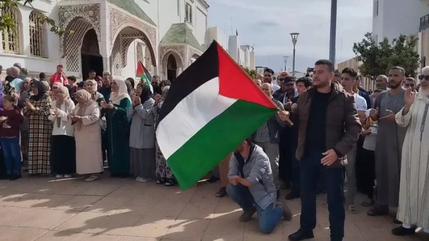 137 Manifestations au Maroc en Soutien à Gaza en un Jour : Silence du Roi Mohammed VI Interroge!!!