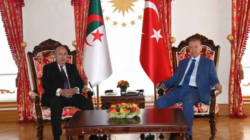 Président Tebboune et Président Erdogan : Dialogue crucial sur la Palestine et les relations bilatérales