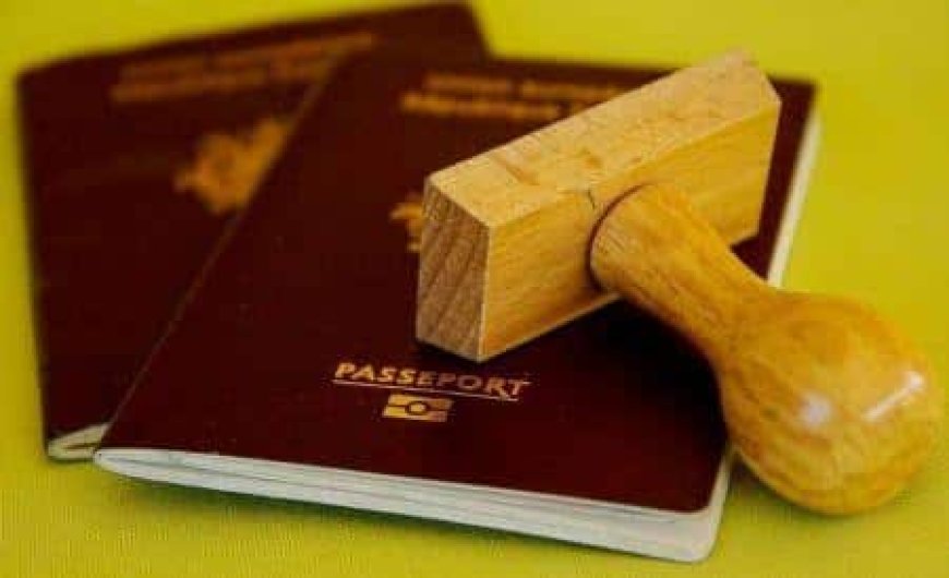 Henley Passport Index / les passeports africains les plus puissants en 2021