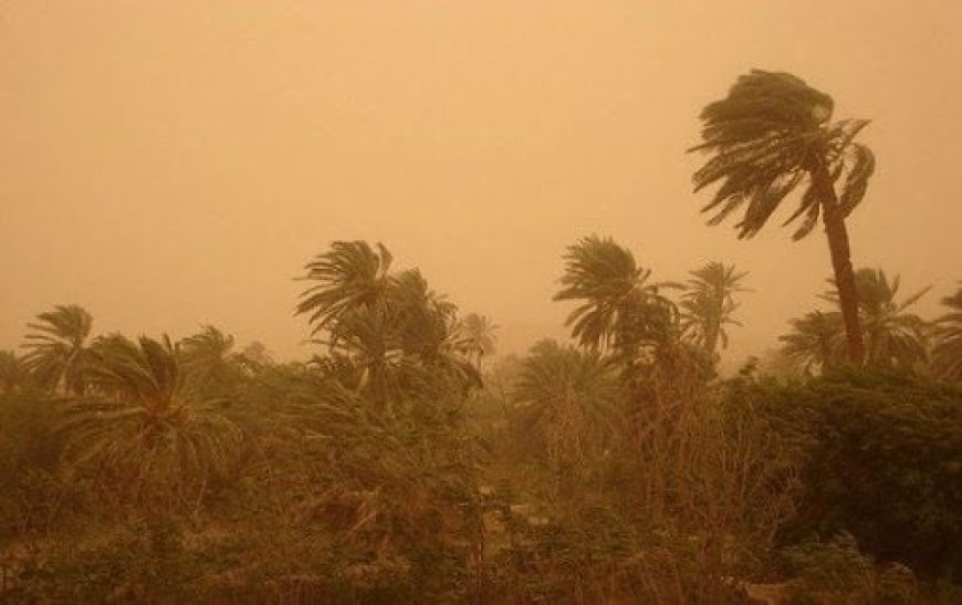 Météo : de fortes rafales de vent sur les wilayas du Grand Sud