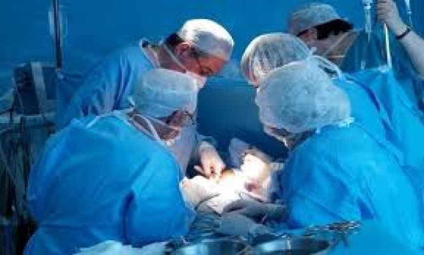 Algérie: L’Agence nationale de transplantation d’organes verra le jour cette année