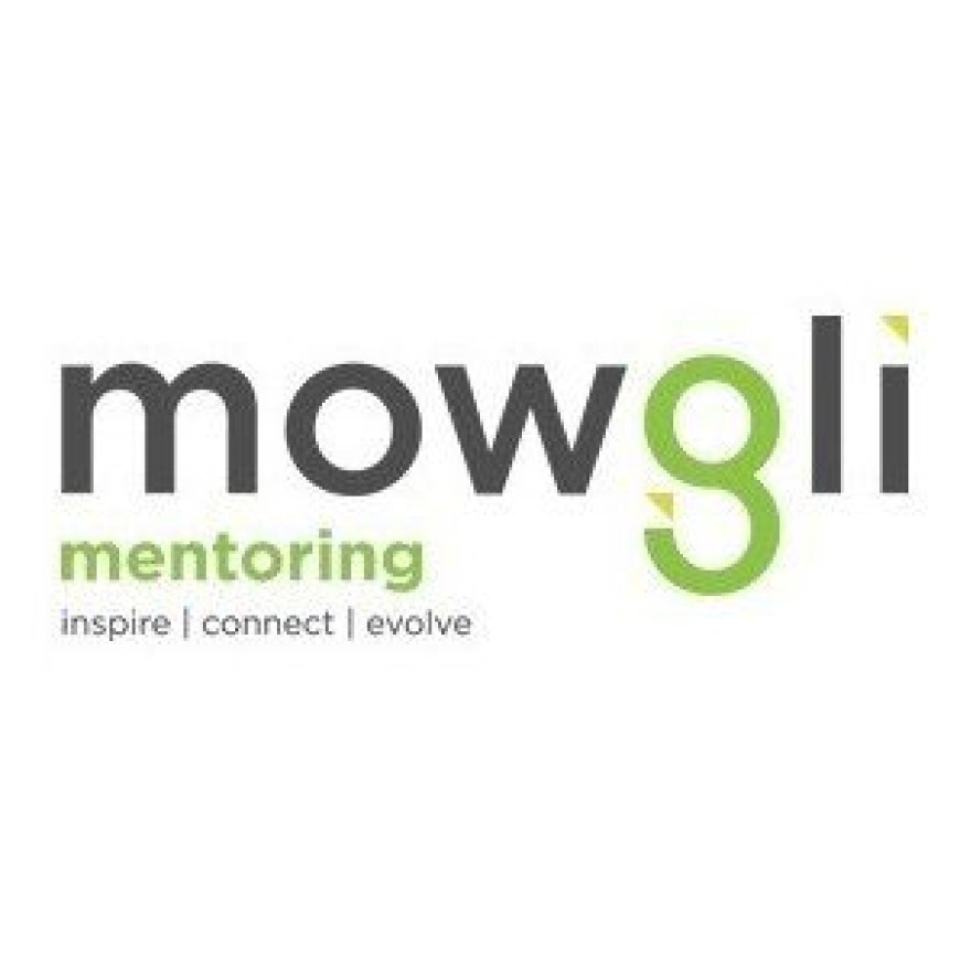 Mowgli Foundation stimule l’entreprenariat en Algérie