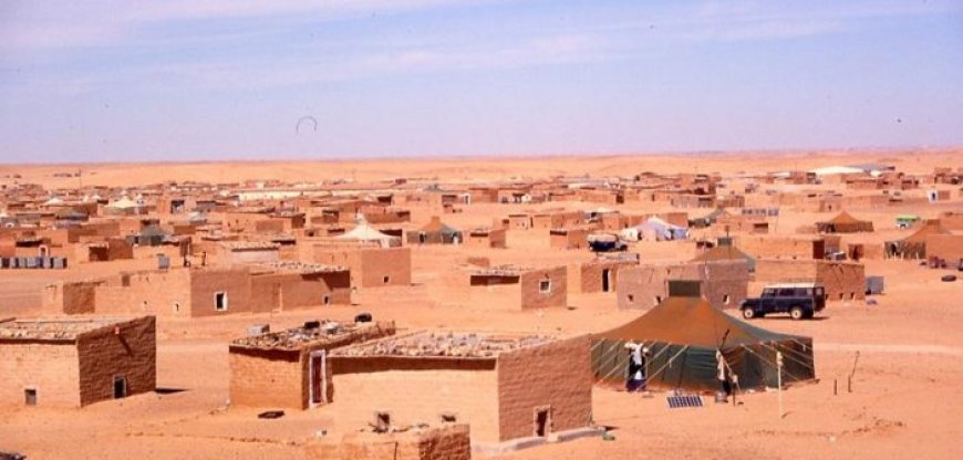 A Tindouf, la nuit, on ne dort pas, on fait campagne