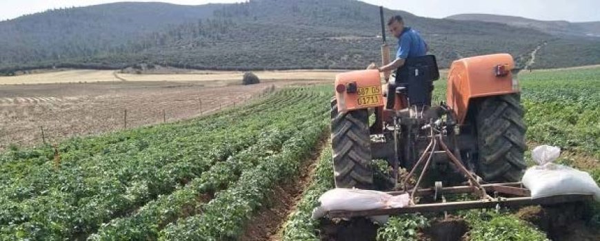 Développement agricole dans les wilayas du Sud : Assurer la disponibilité de l’énergie et des engrais