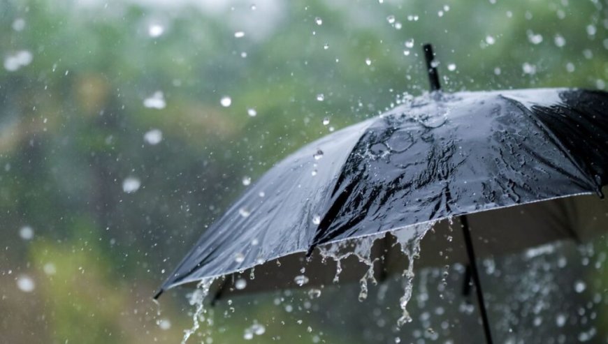 Alerte Météo en Algérie : de fortes pluies attendues dés demain