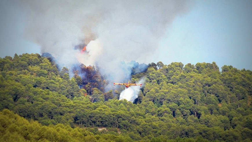 Prévention contre les feux de forêt: Lancement d’une caravane de sensibilisation à Djamaâ El Djazaïr