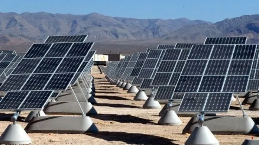 Sonelgaz annonce la réalisation de 15 centrales solaires pour la transition énergétique