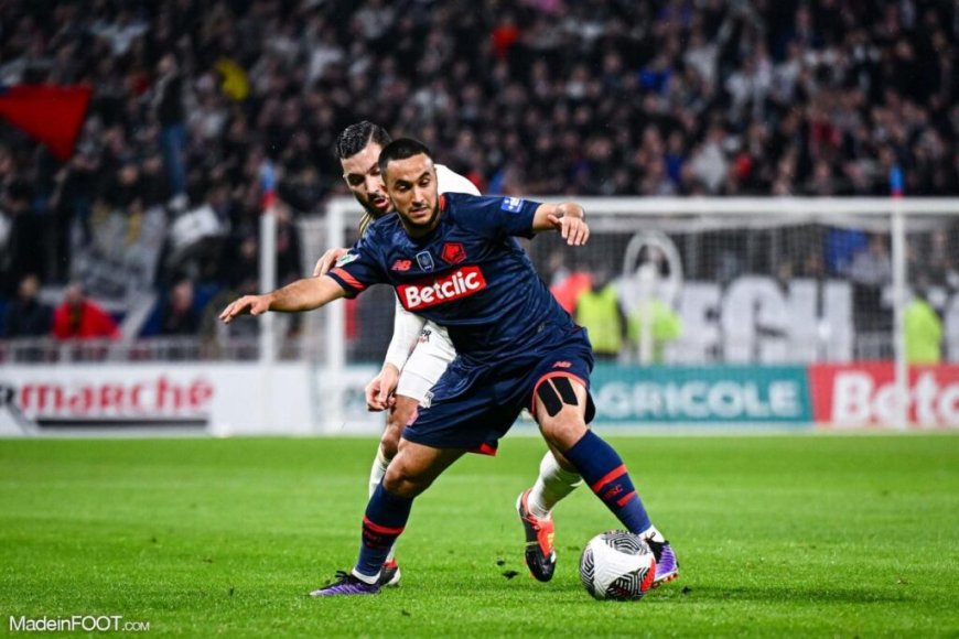 Libéré du LOSC Lille, Adam Ounas brise le silence