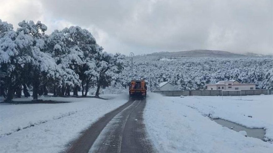 Neige et vague de froid en Algérie : les wilayas les plus touchées