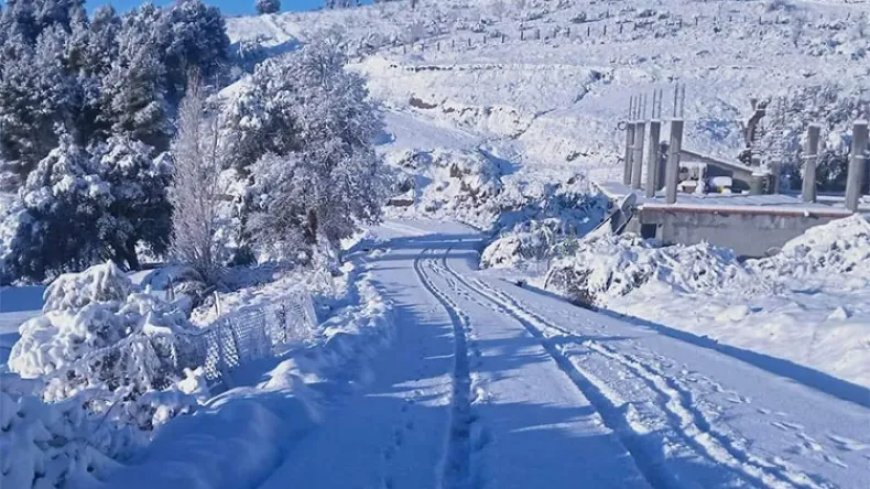 La neige fait son grand retour en Algérie: 17 wilayas touchées, les précipitations s’annoncent abondantes