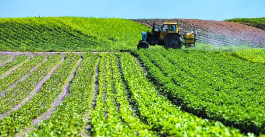 Recensement général de l’agriculture : Cap sur la sécurité alimentaire