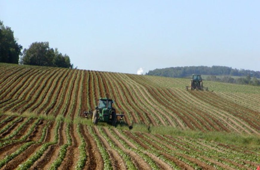 L’annonce a été faite hier à l’ouverture du Salon Sipsa Filaha : Le secteur agricole en Algérie contribue au PIB à hauteur de 18%