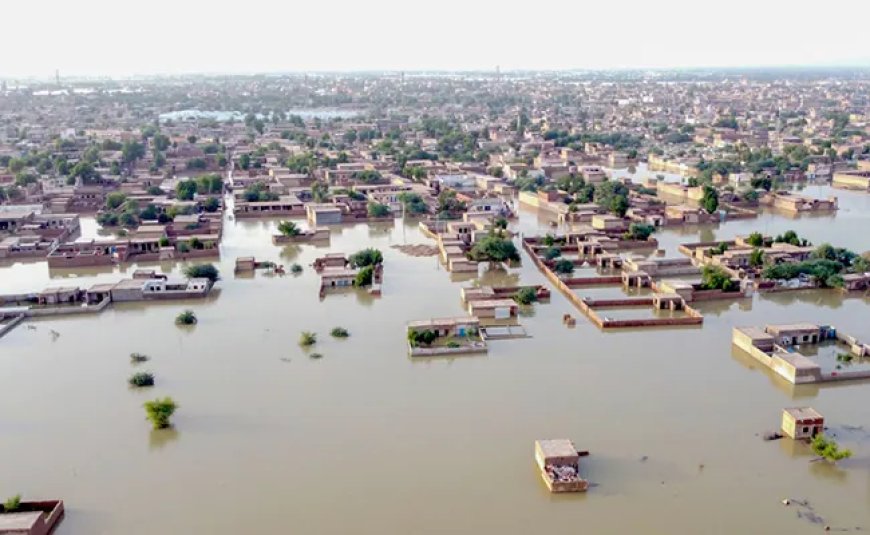 Inondations au Pakistan : un « carnage climatique », selon le secrétaire général de l’ONU