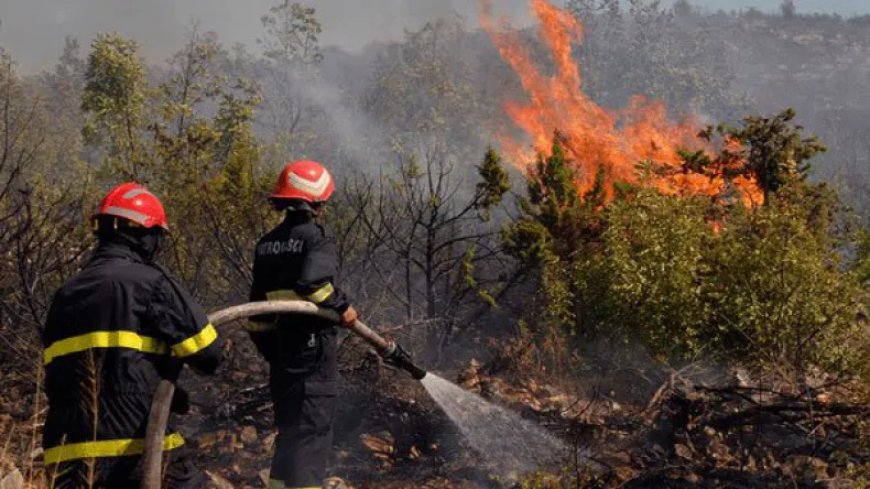 Lutte contre l’incendie : un système spécial pour prévoir et identifier les zones qui y sont exposées