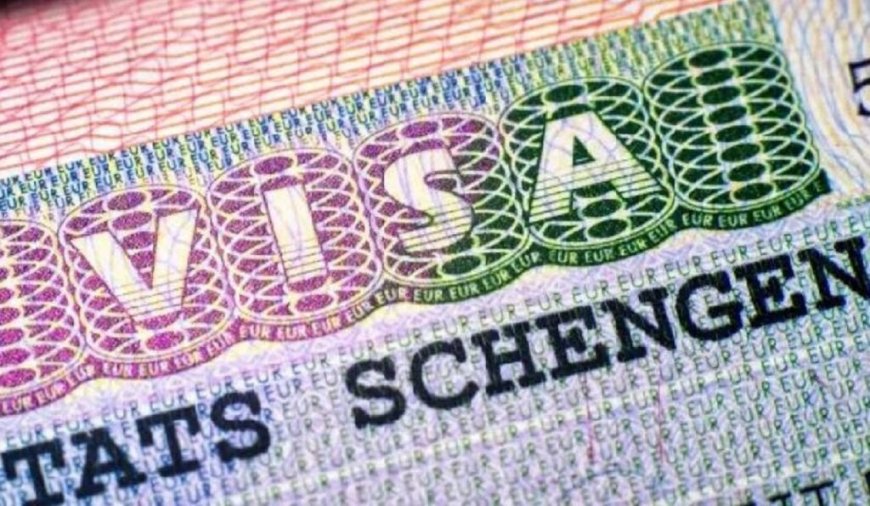 Visa Schengen : les Algériens parmi les demandeurs les plus recalés en 2023/2024