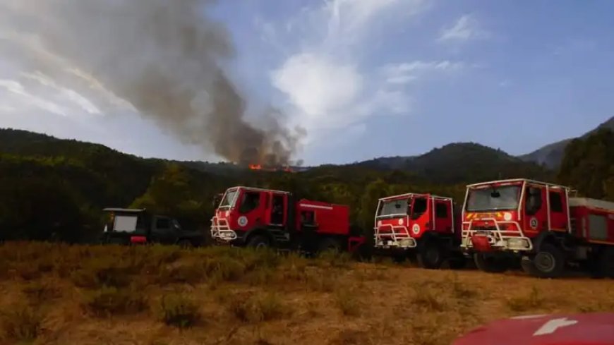 Feu de forêt: Les endroits où des incendies se sont déclarés en Algérie.. jusqu’à mercredi