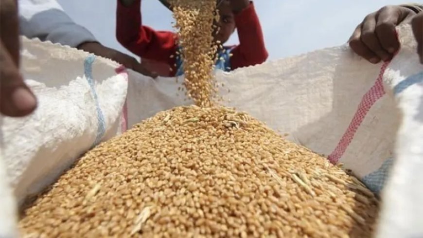 Le ministère de l’Agriculture appelle les producteurs de céréales à livrer leurs récoltes avant cette date