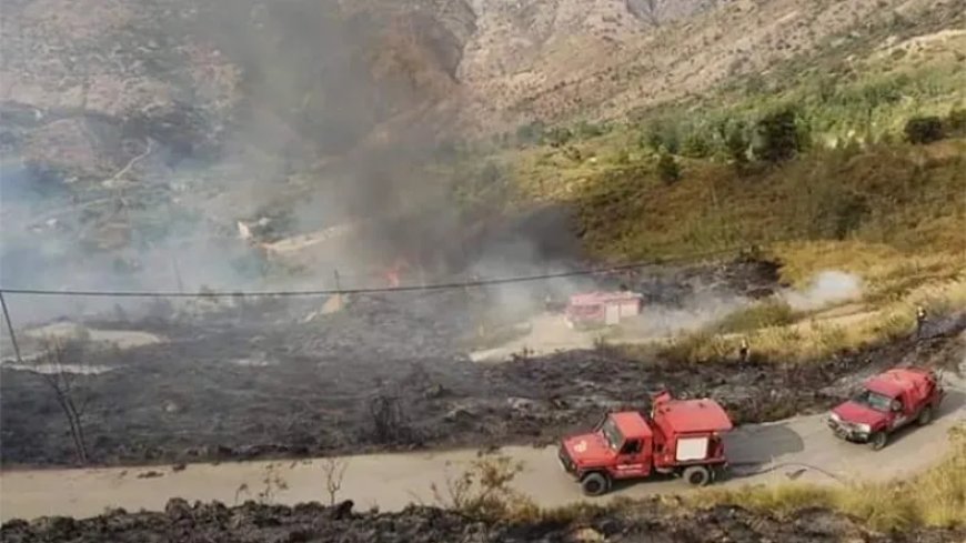 Feu de forêt: Les pertes causées par les incendies de Bejaia dépassent les 1 000 hectares