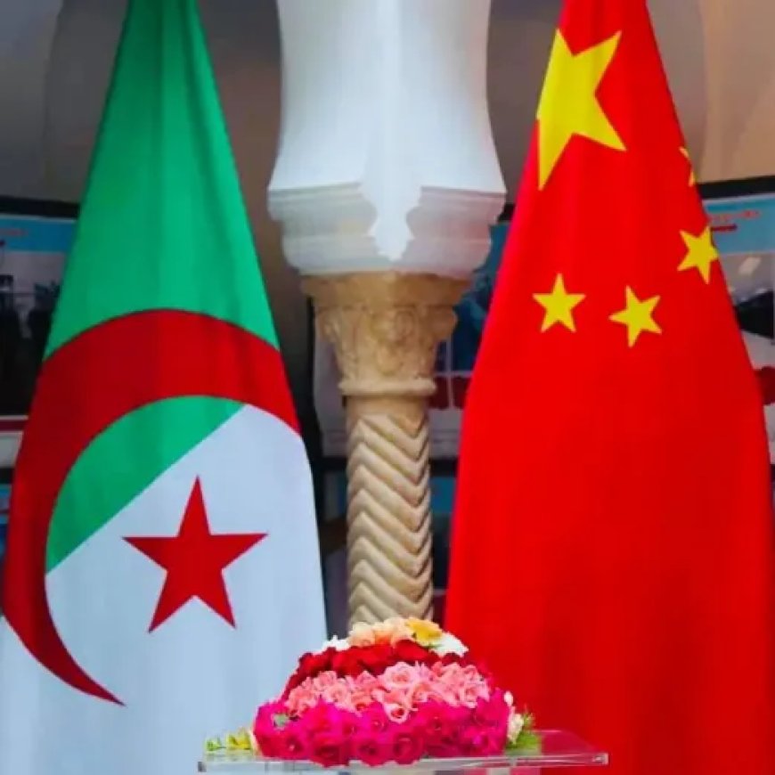 Pékin aspire à profiter de la nouvelle loi d’investissements pour renforcer sa présence en Algérie