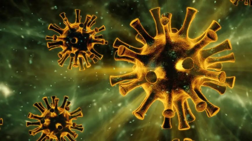 L’Algérie a décidé d’ouvrir les frontières terrestres.. La Tunisie connaît le paroxysme du Corona virus