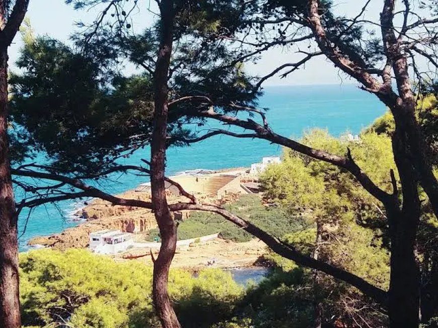 La Wilaya de Tipaza interdit le camping et la randonnée dans les forêts jusqu’à cette date