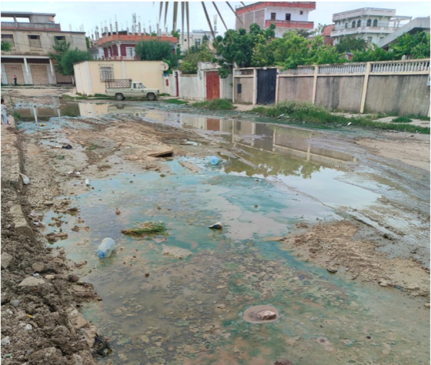 Préfabriqués à Chebaita Mokhtar : Les eaux usées font partie du décor…