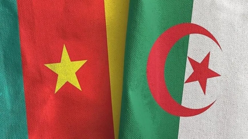 L’équipe nationale algérienne affrontera son homologue camerounaise en août prochain