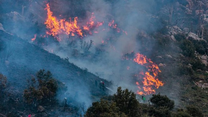 Incendies de forêt : 270 hectares dévastés depuis début juin