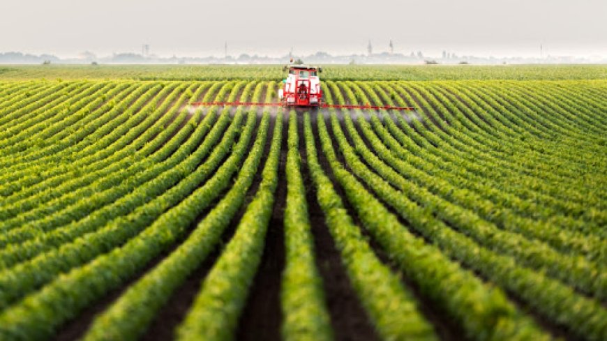 Relance du secteur de l’Agriculture: Goudjil souligne le rôle central des fermes pilotes