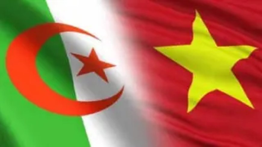 Une troisième session des consultations politiques entre l’Algérie et le Vietnam