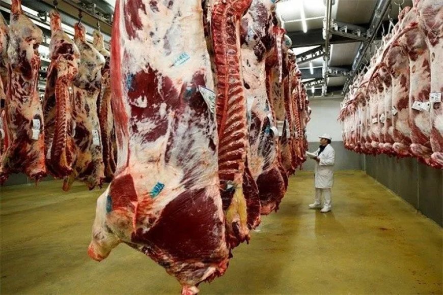 El Pais: l’Algérie a cessé d’accorder des licences pour importer de la viande d’Espagne