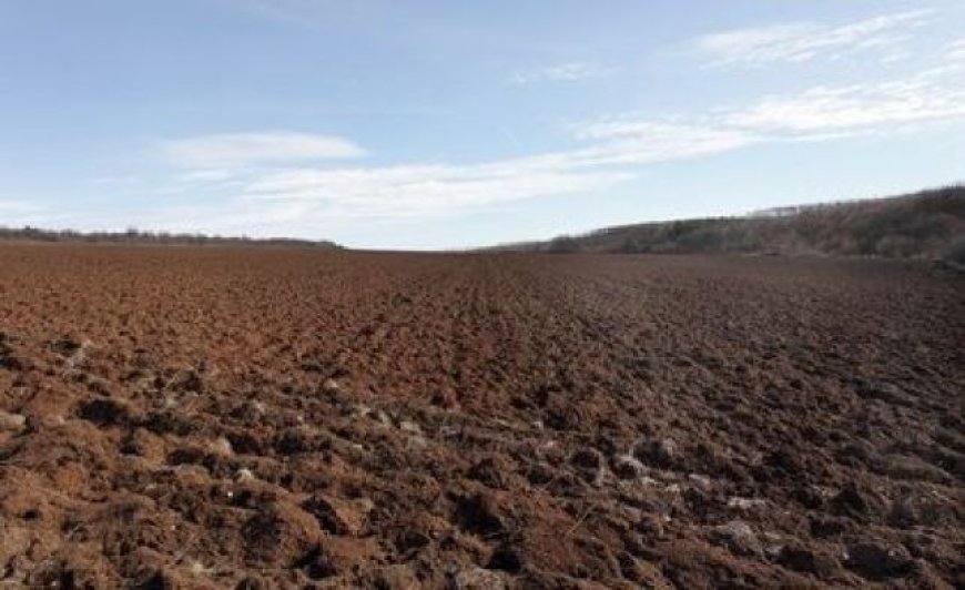 Agriculture : l’État octroie 85 000 hectares aux investisseurs