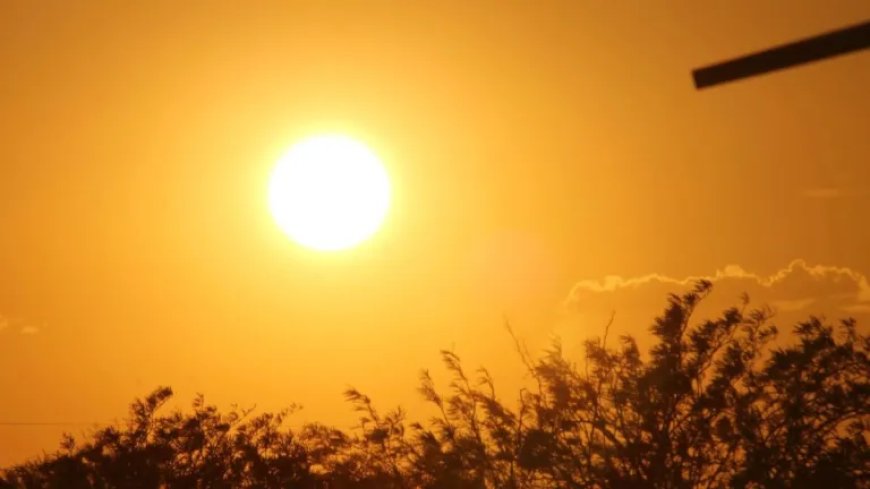 Meteo Algérie: Enregistrement de températures « record » ce vendredi