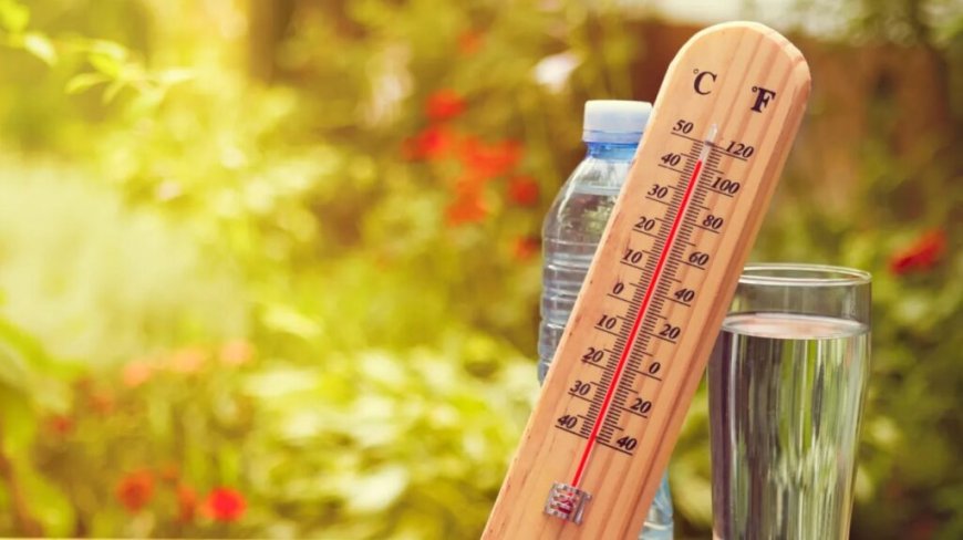 Bulletin Météo Algérie : persistance d’un temps chaud ce mardi 28 mai !