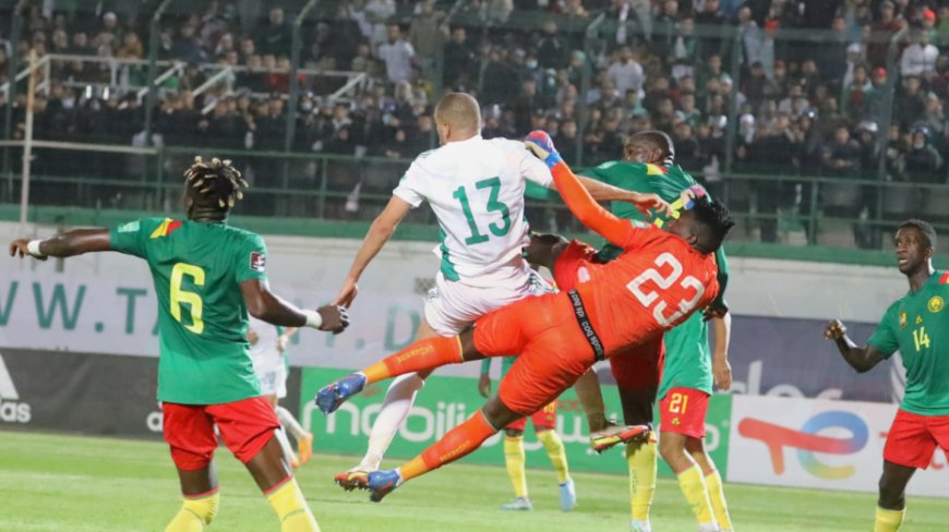 Vidéo: Le dossier du match Algérie Cameroun est à la « poubelle » après avoir été rejeté par la « FIFA »